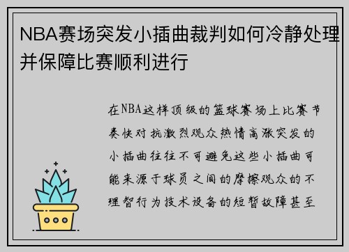 NBA赛场突发小插曲裁判如何冷静处理并保障比赛顺利进行