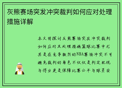 灰熊赛场突发冲突裁判如何应对处理措施详解